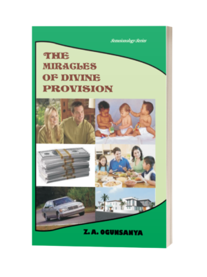 The Miracle Of Divine Provision 3