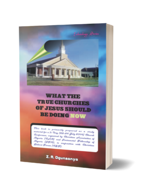 What the True Churches of Jesus Should Be Doing Now 1