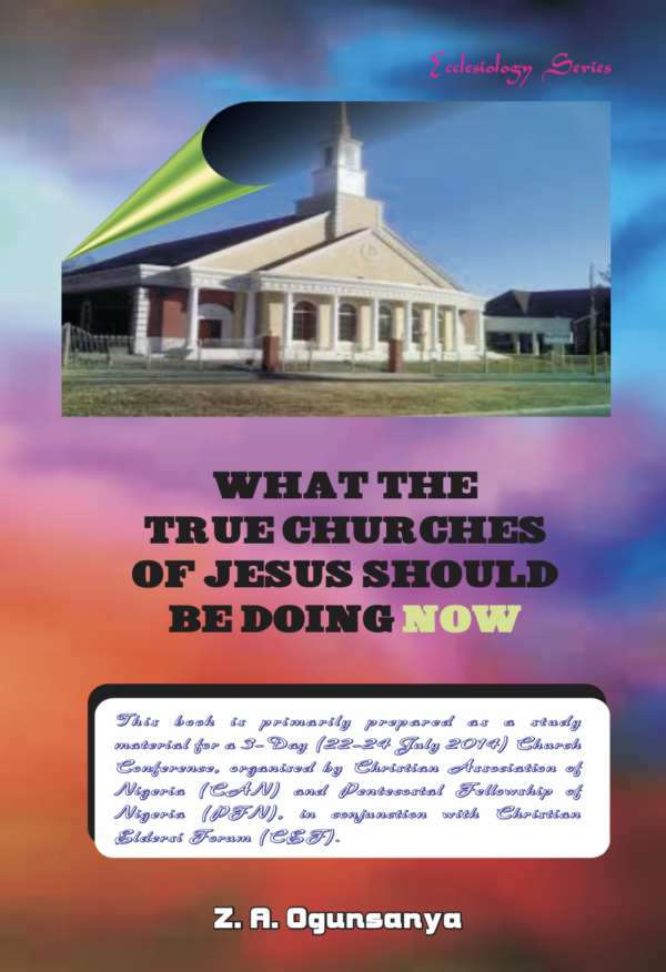 What the True Churches of Jesus Should Be Doing Now